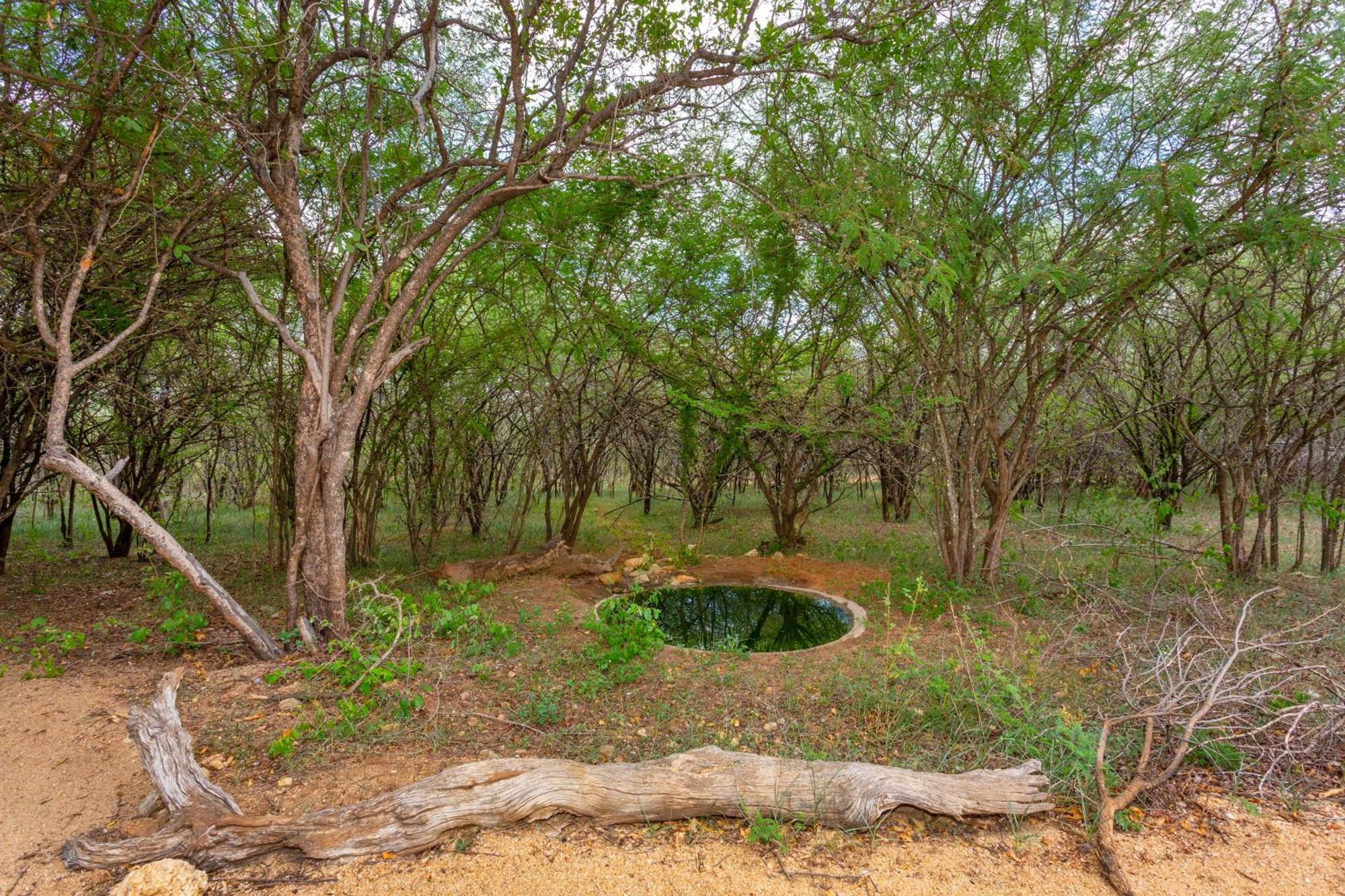 The Bush House Villa Hoedspruit Eksteriør bilde