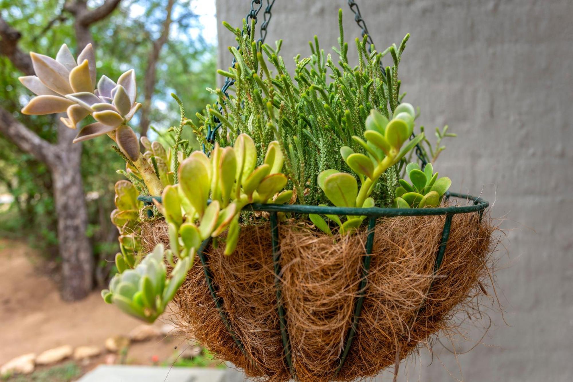 The Bush House Villa Hoedspruit Eksteriør bilde
